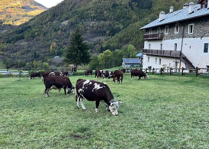 Maison Marcoz - Appartamenti Vacanze